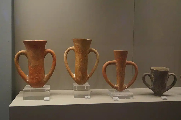 Tim thay bang chung bat ngo ve thoi quen uong ruou cua nguoi co-Hinh-8