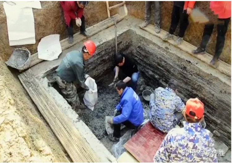 Tim thay dan ca kho trong mo co, chuyen gia phan 'bau vat'-Hinh-2