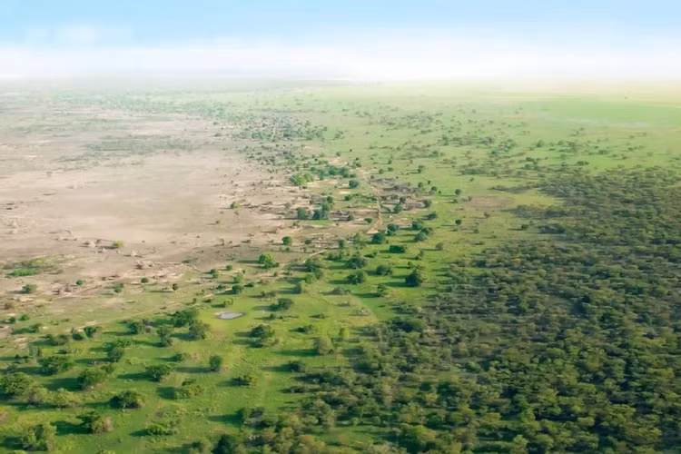 Kiểm tra xác ướp 7.000 tuổi, hé lộ dòng dõi con người mới - Hình 4 Kiem tra xac uop 7.000 tuoi, he lo dong doi con nguoi moi-Hinh-4