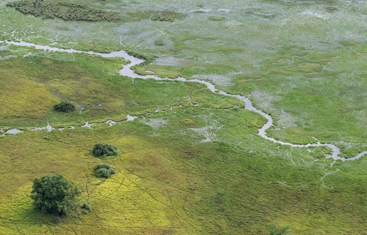 Kiem tra xac uop 7.000 tuoi, he lo dong doi con nguoi moi-Hinh-8