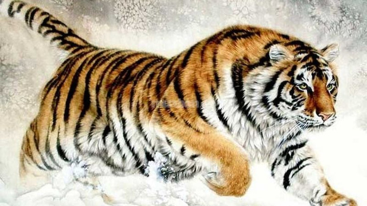 Du doan ngay moi 19/4/2025 cho 12 con giap: Mui quang giao-Hinh-3