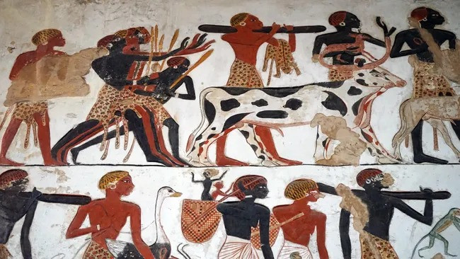 Khai quat mo co 4.000 tuoi, he lo bi mat dong troi