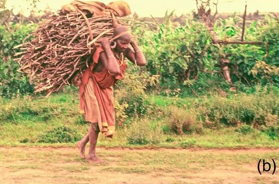 Khai quat mo co 4.000 tuoi, he lo bi mat dong troi-Hinh-4