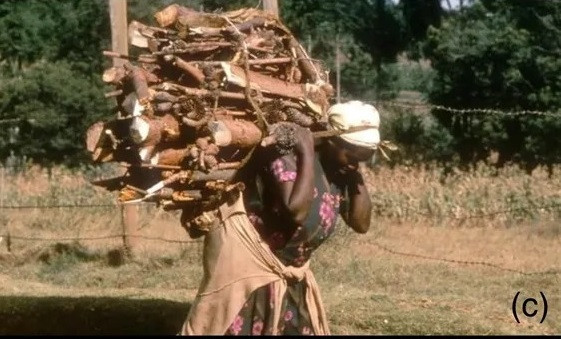 Khai quat mo co 4.000 tuoi, he lo bi mat dong troi-Hinh-5