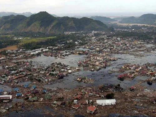 Nhung tham hoa thien nhien khoc liet lam the gioi chao dao-Hinh-7