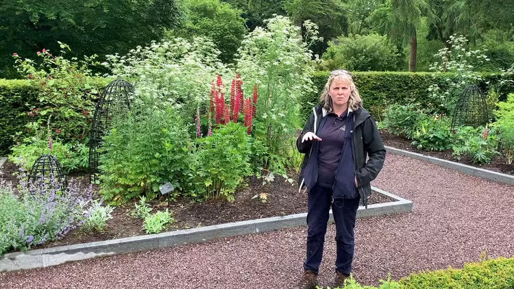 Thot tim khu vuon nguy hiem nhat the gioi, so senh la mat mang-Hinh-8