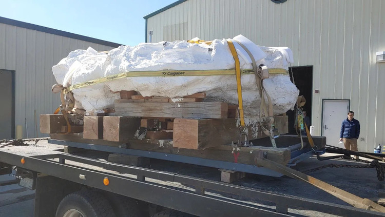 Quai dan khoi da nang 9 tan, ben trong luc nhuc toan “quai vat“-Hinh-8