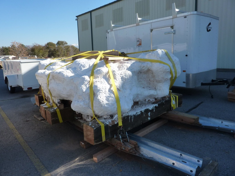 Quai dan khoi da nang 9 tan, ben trong luc nhuc toan “quai vat“-Hinh-2