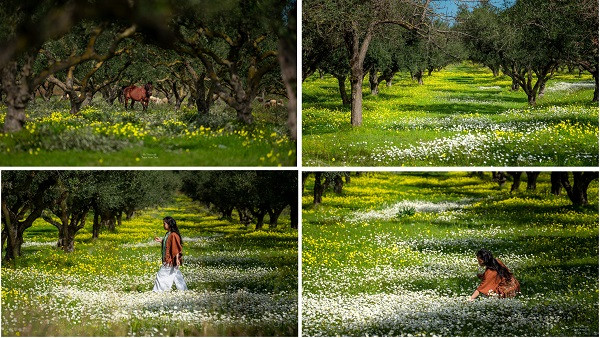 Cap doi chi 110 trieu vi vu Hy Lap, tham tu vien tren may-Hinh-12