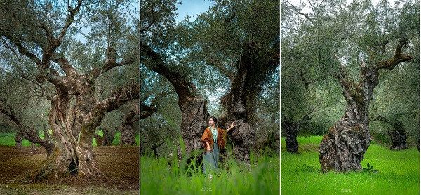 Cap doi chi 110 trieu vi vu Hy Lap, tham tu vien tren may-Hinh-10