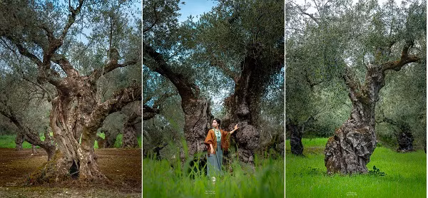 Cap doi chi 110 trieu vi vu Hy Lap, tham tu vien tren may-Hinh-10