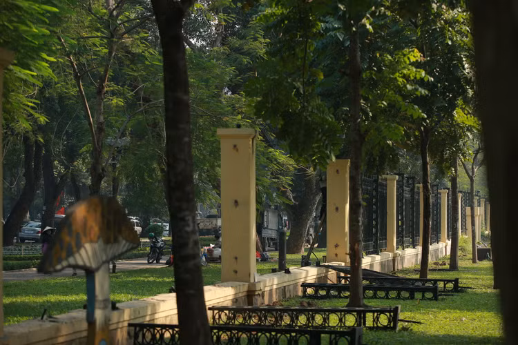 Ha Noi: Can canh viec thao do hang rao cong vien Thong Nhat-Hinh-7