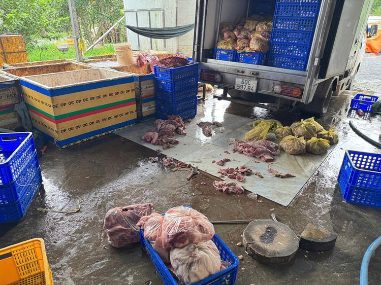 Đồng Nai: Thu giữ 4 tấn thịt heo không đảm bảo vệ sinh Dong Nai: Thu giu 4 tan thit heo khong dam bao ve sinh