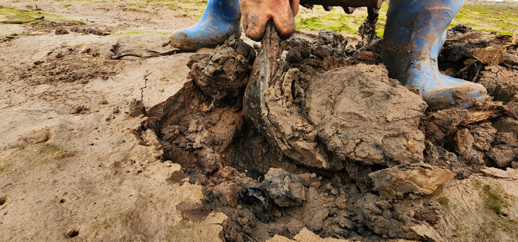 Vat va nghe cong lung di mot 