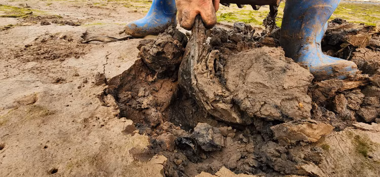 Vat va nghe cong lung di mot 