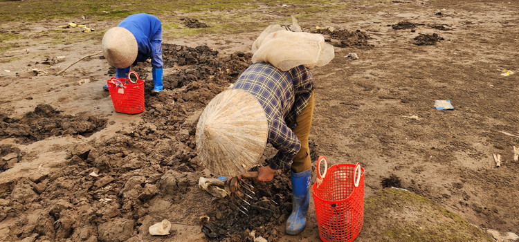 Vat va nghe cong lung di mot 