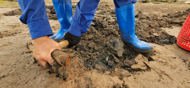 Vat va nghe cong lung di mot 