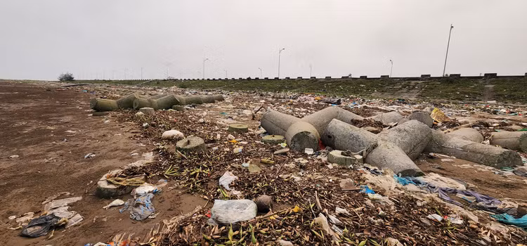 Vat va nghe cong lung di mot 