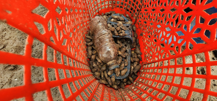 Vat va nghe cong lung di mot 