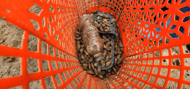 Vat va nghe cong lung di mot 