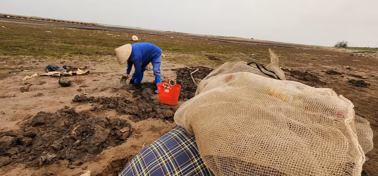 Vat va nghe cong lung di mot 