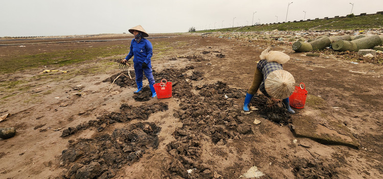 Vat va nghe cong lung di mot 