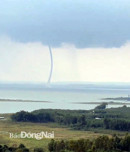 Hai hung voi rong cao tram met xuat hien o Viet Nam-Hinh-7