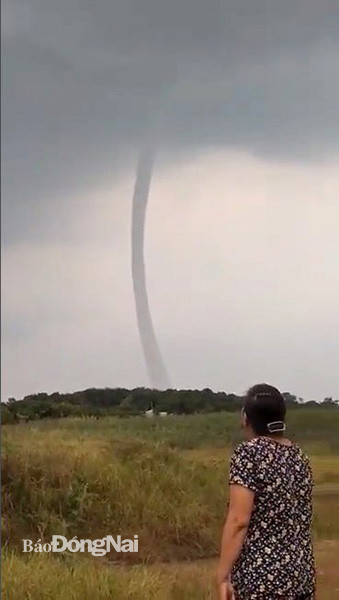 Hai hung voi rong cao tram met xuat hien o Viet Nam-Hinh-8