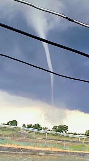 Hai hung voi rong cao tram met xuat hien o Viet Nam-Hinh-4