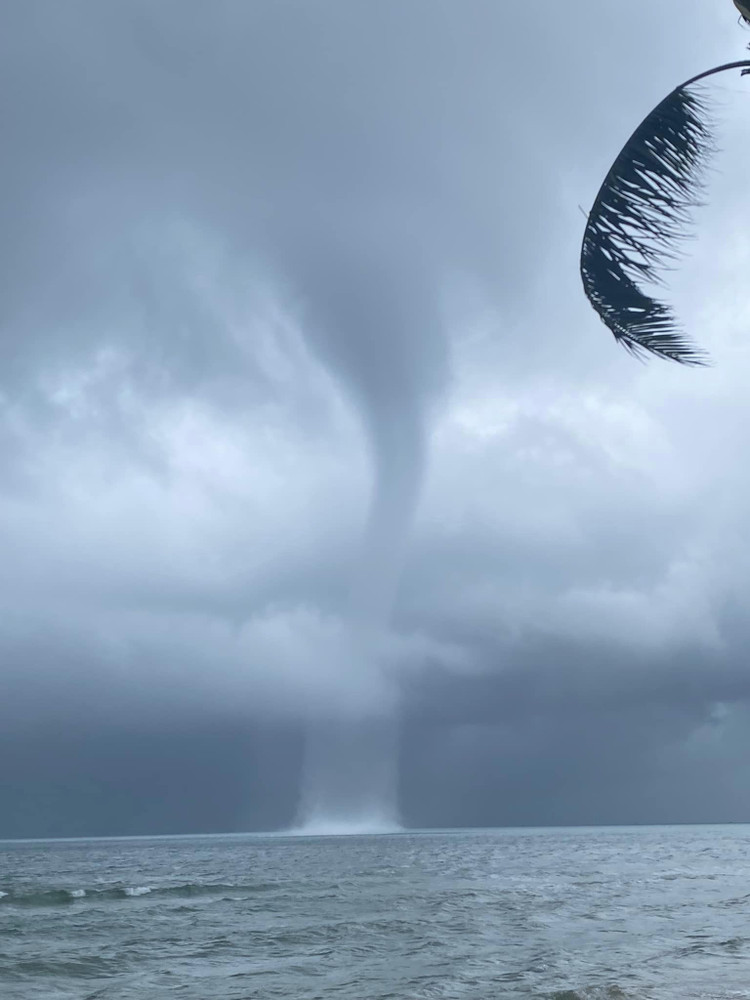 Hai hung voi rong cao tram met xuat hien o Viet Nam-Hinh-6