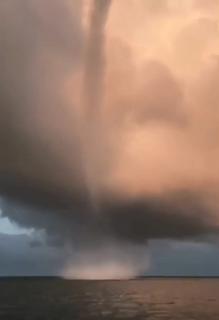 Hai hung voi rong cao tram met xuat hien o Viet Nam-Hinh-9