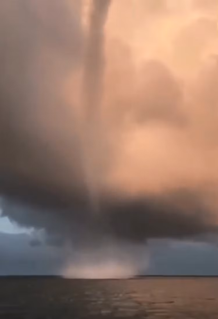 Hai hung voi rong cao tram met xuat hien o Viet Nam-Hinh-9