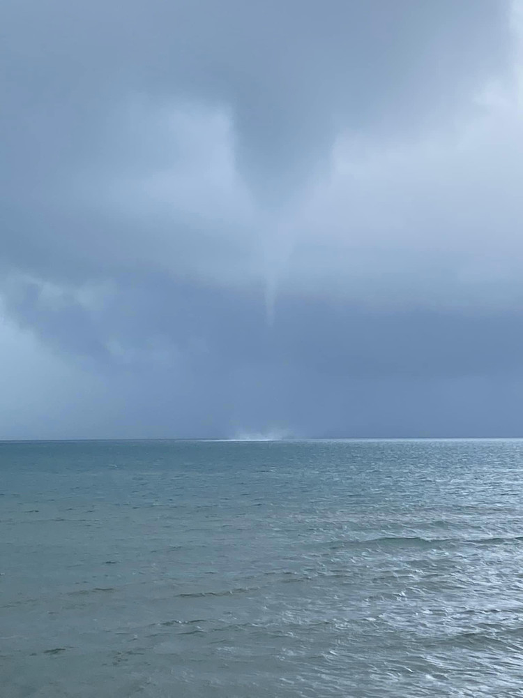 Hai hung voi rong cao tram met xuat hien o Viet Nam-Hinh-5