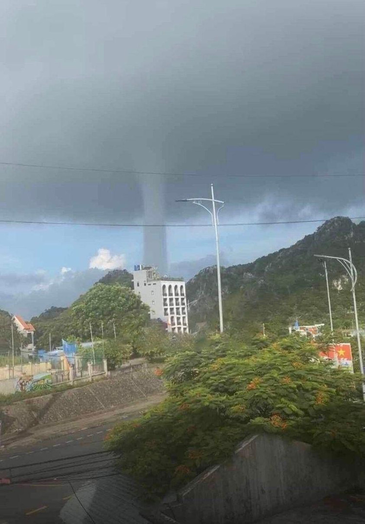 Hai hung voi rong cao tram met xuat hien o Viet Nam