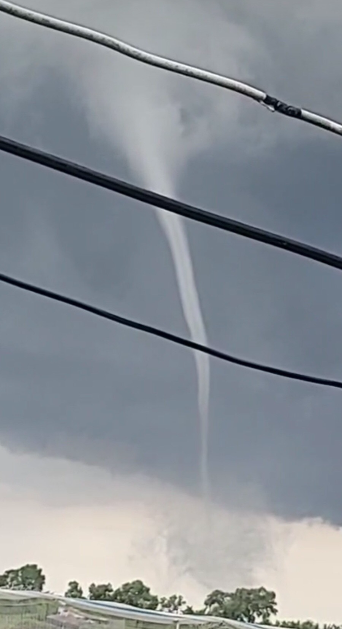 Hai hung voi rong cao tram met xuat hien o Viet Nam-Hinh-3