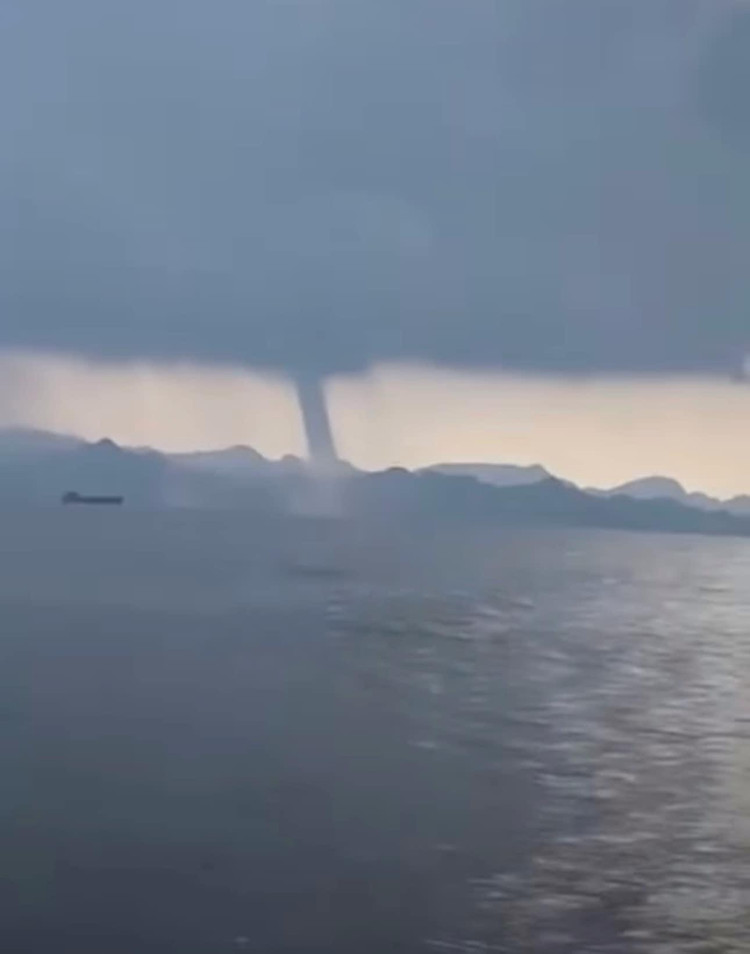 Hai hung voi rong cao tram met xuat hien o Viet Nam-Hinh-2