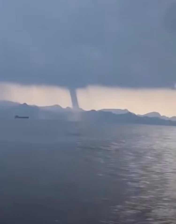 Hai hung voi rong cao tram met xuat hien o Viet Nam-Hinh-2