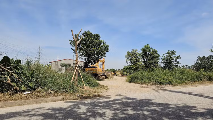 Du an Benh vien Quoc te DELTA cham tien do, gio ra sao?