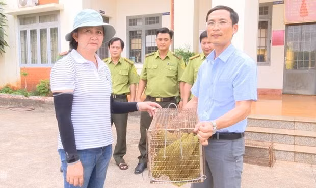 Bat duoc dong vat trong Sach do, dan Binh Phuoc giao cho chinh quyen