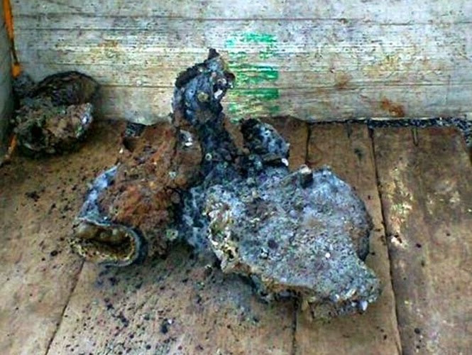 Chan dong nhung vu phat hien “xac nguoi ngoai hanh tinh