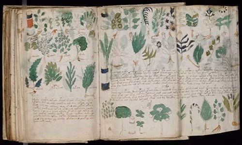 Nhung mat ma bi an con nguoi luon khat khao giai ma-Hinh-2