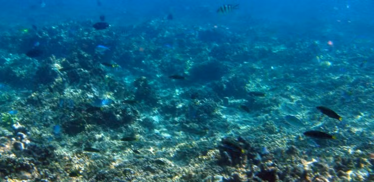 Day bien thung 4 lo, thu bi vui lap 2 trieu nam bong 