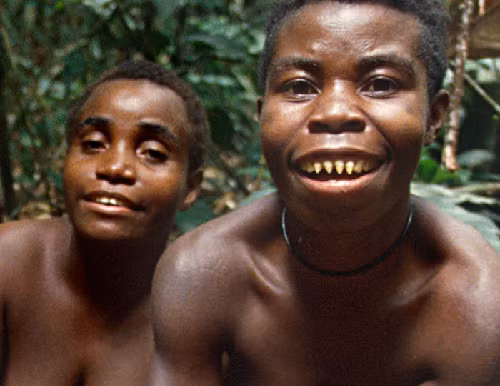 Dieu kho tin ve bo toc ti hon, song tho khoang 40 tuoi-Hinh-2