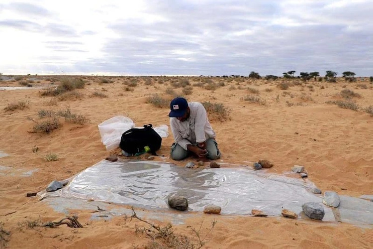 Ky thu hoa thach bo ba thuy hon 500 trieu nam tuoi-Hinh-5