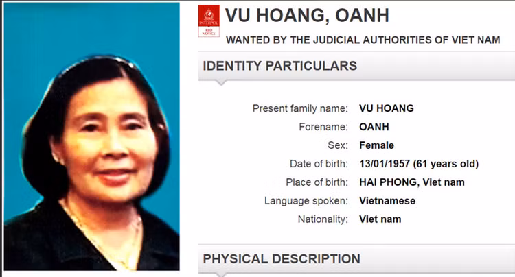 Chan dung “trum” ma tuy Oanh Ha, chi gai Dung Ha vua bi bat-Hinh-3