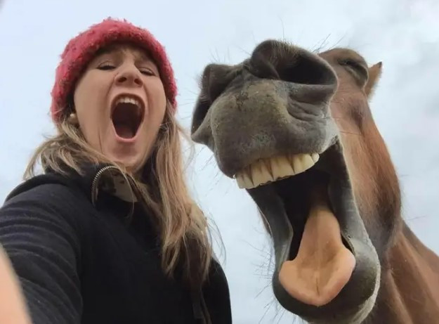 Top anh dong vat hai huoc, choc cuoi ca the gian-Hinh-5