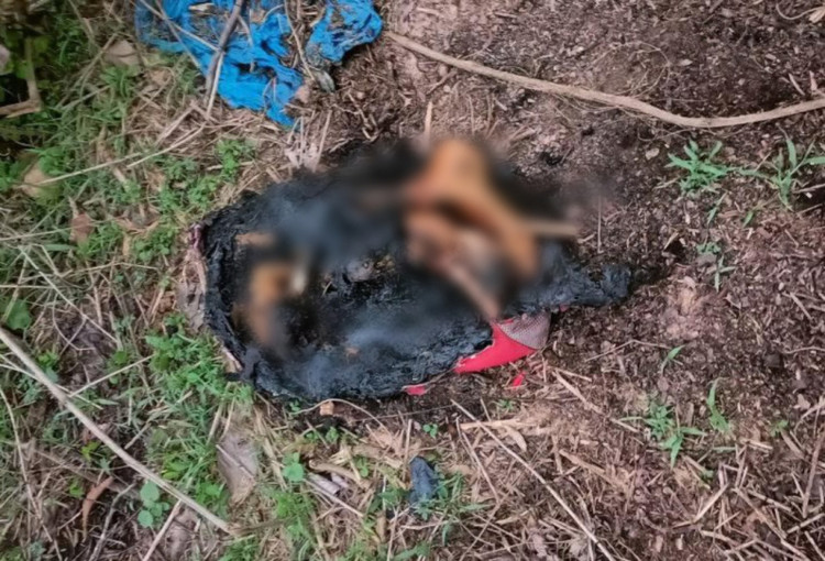 Cong an tinh Binh Duong phat thong bao vu doi chan nguoi bi dot chay