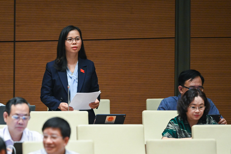 An tinh ai, sat hai nguoi than… lam “nong” nghi truong Quoc hoi-Hinh-2