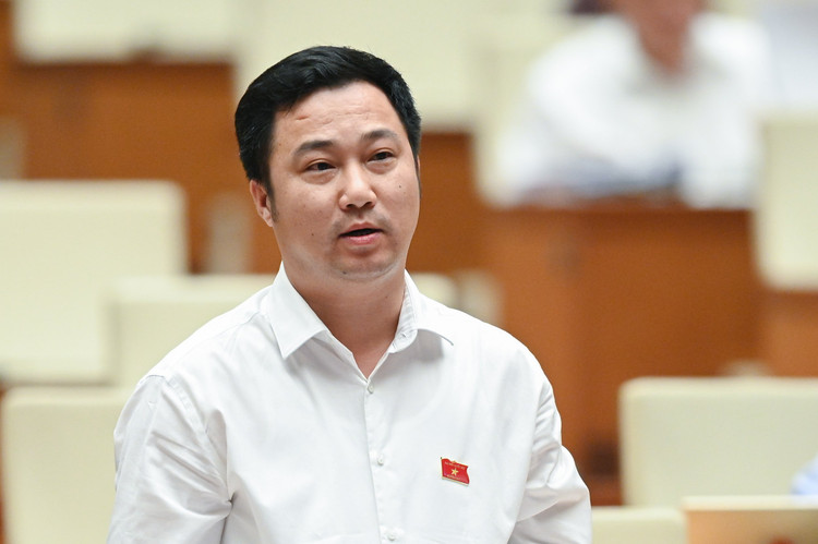 An tinh ai, sat hai nguoi than… lam “nong” nghi truong Quoc hoi-Hinh-8