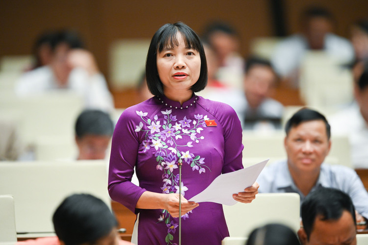 An tinh ai, sat hai nguoi than… lam “nong” nghi truong Quoc hoi-Hinh-3